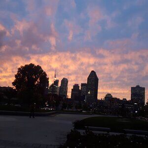 Meet your Posher, Sophie